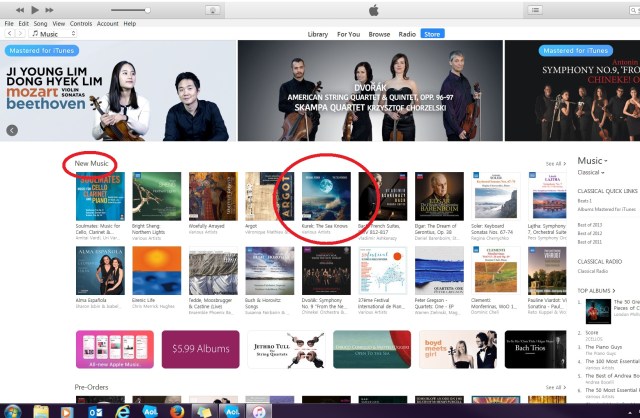 iTunes New Music Sea Knows