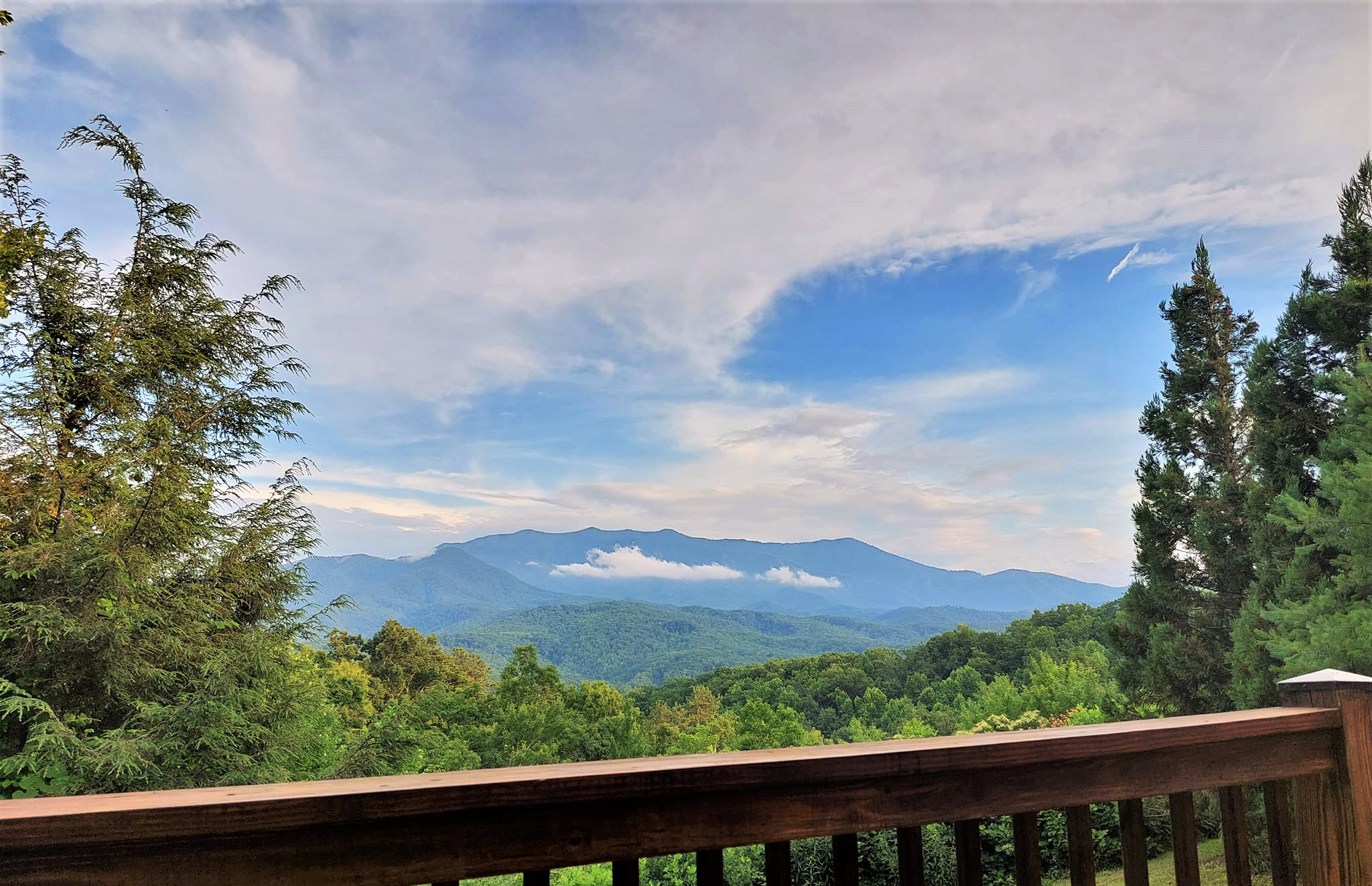 290595612_10103366567842898_6923755695174767345_n